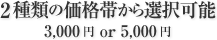 2種類の価格帯から選択可能