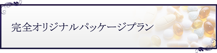 完全オリジナルパッケージプラン